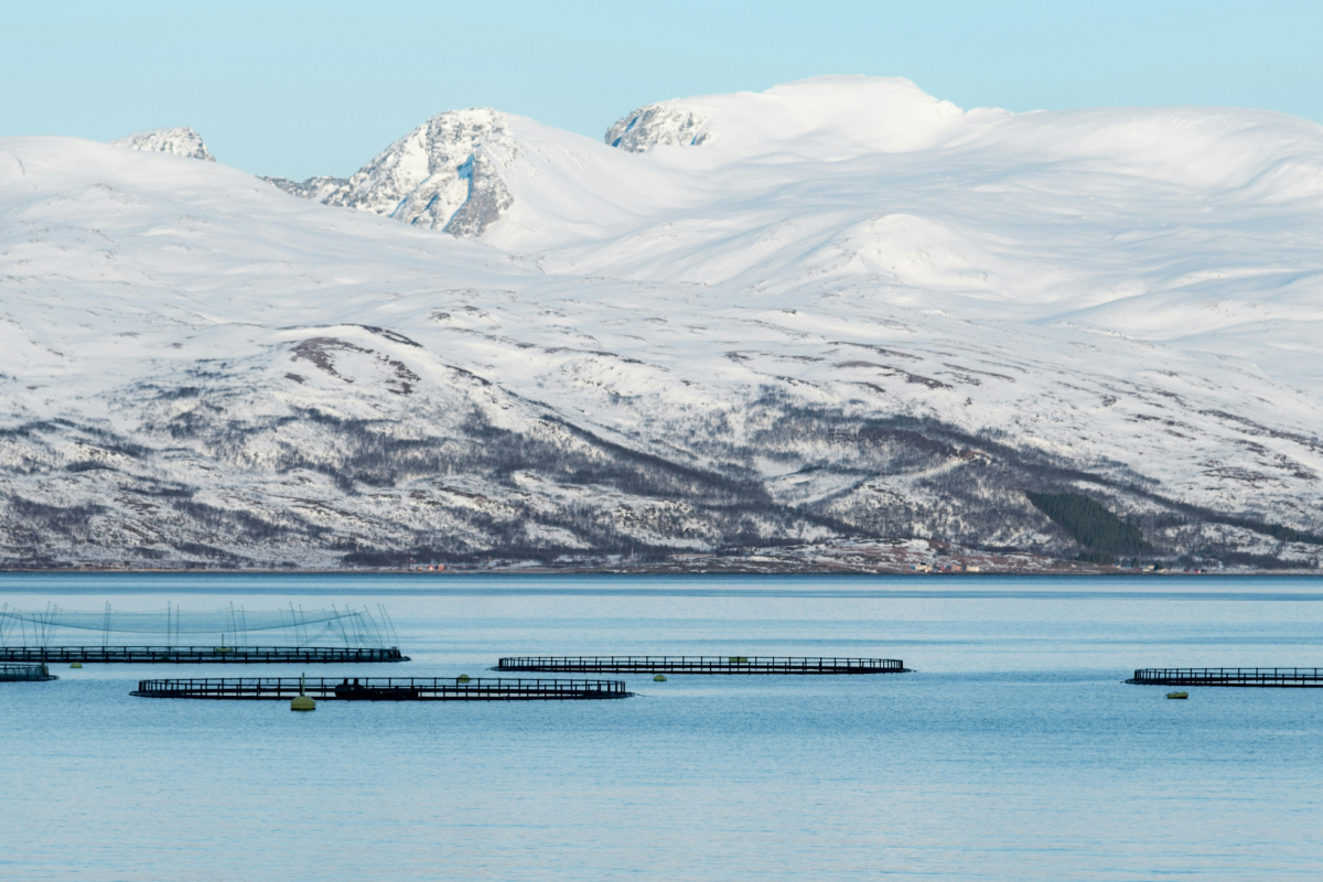 Farm för fiske i Norge