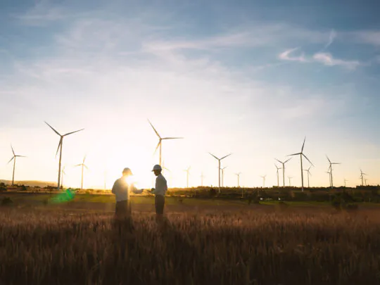 Investors and technicians are standing in talks about wind turbine power generation